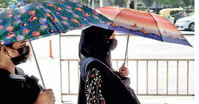 Delhi weather: No heatwave day in April yet, cheer won't last long