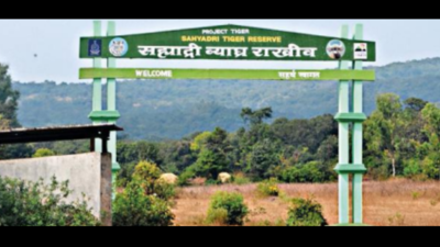 Maharashtra: Sahyadri Tiger Reserve gets 'very good' grade ...