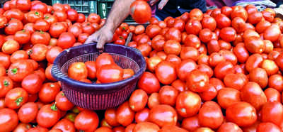 Chatra, the vegetable bowl of state, set to get 10 solar-powered cold storages soon