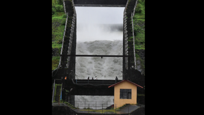 Dam levels below 50%, Goa minister Subhash Shirodkar says enough till June