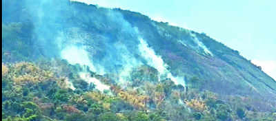 40 foresters deployed to contain wildfire