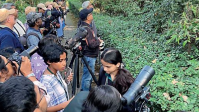 Birders set for West Bengal’s 1st summer survey this weekend
