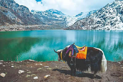 #SikkimAvalanche: Don’t cancel your trip, but plan with caution, We spoke to experts and travellers to get you all the practical tips for your next trip