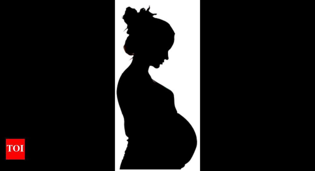 Why Tamil Nadu needs to tweak its maternity policy Chennai News