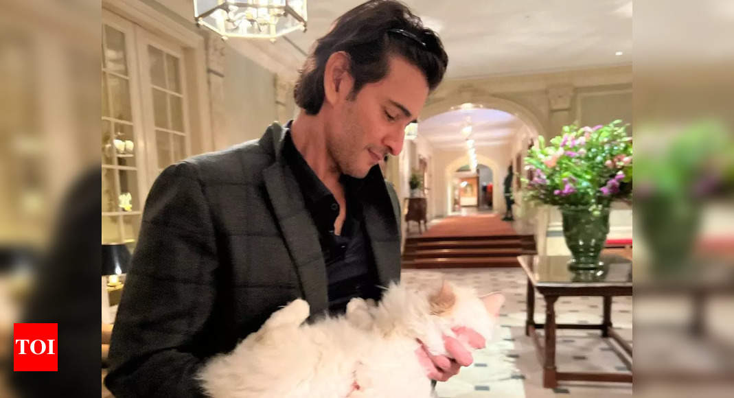 Mahesh Babu's love for animals shines in adorable picture with Persian ...