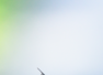 8 natural ways to get rid of mosquitoes