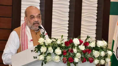 Union home minister Amit Shah reviews Jammu and Kashmir security situation