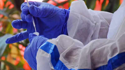 Delhi logs 1,527 Covid cases, 2 deaths; positivity rate 27.77 per cent