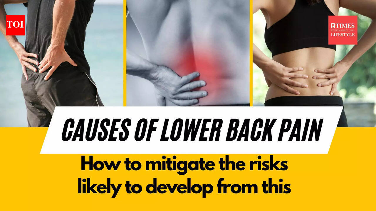 Causes of lower back pain, how to mitigate the risks likely to develop ...