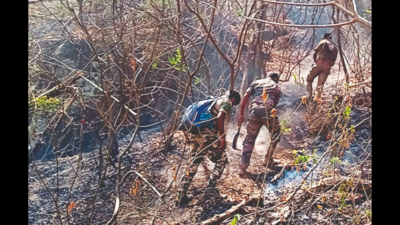 Forest department struggles to douse wildfire