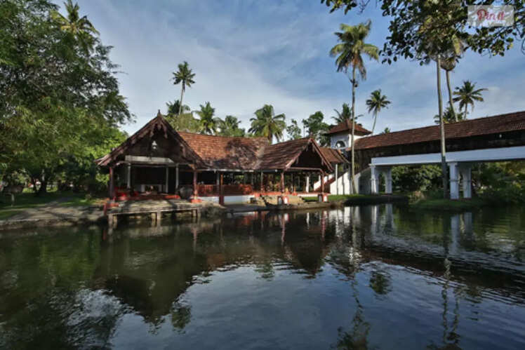 Coconut Lagoon