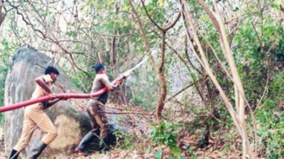 Four days on, efforts to douse wildfire continue in Coimbatore