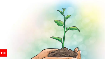 Buy a car, get a plant free from May in West Bengal