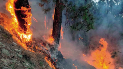 As temperature soars, forest fires back to haunt Odisha