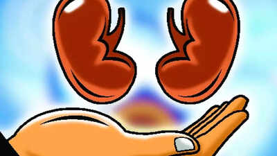 At the giving end: Most living kidney donors are women