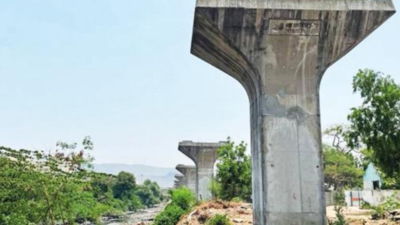 Locals fear flooding due to elevated road project in Navi Mumbai