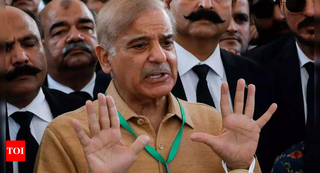 Shehbaz: ‘Country was not created to act like beggar’: Pakistan PM Shehbaz Sharif – Times of India