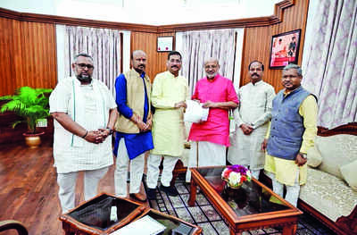 BJP team meets guv seeking judicial probe