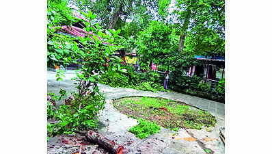Temple trust opposes tourism projects in Champaran