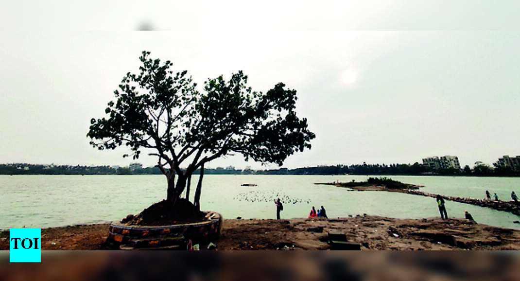 Late Night Showers Uproot Trees, Cause Power Outage Kolhapur News