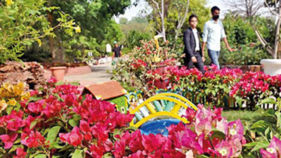 G20 bloom: First bougainvillea festival celebrates its diversity in Delhi
