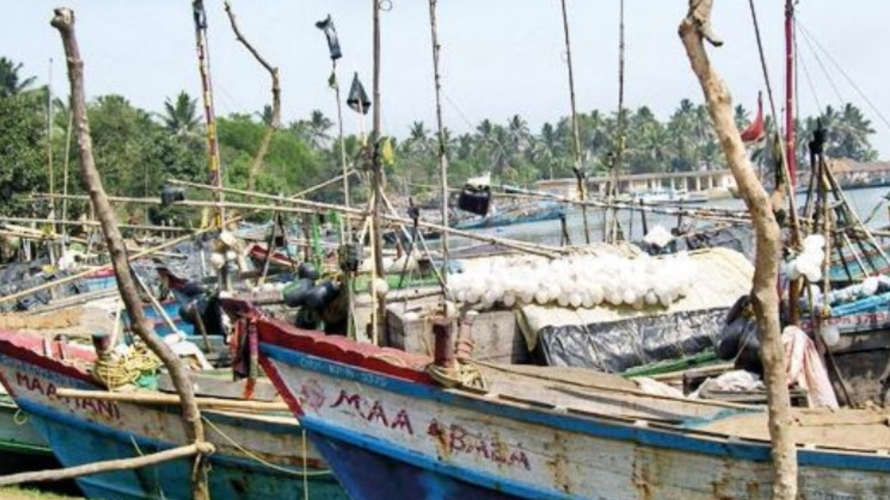 AP Bans Fishing in Sea from April 15 to Promote Breeding