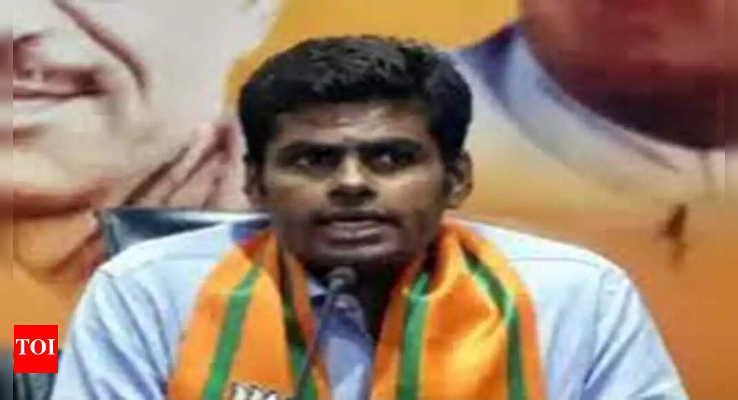 DMK slaps RS 500 crore legal notice on Tamil Nadu BJP chief K Annamalai ...