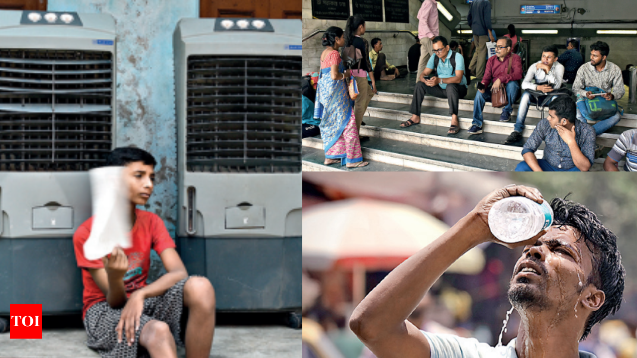 Kolkata simmers at 41.6 degrees, hottest April day since 1980 