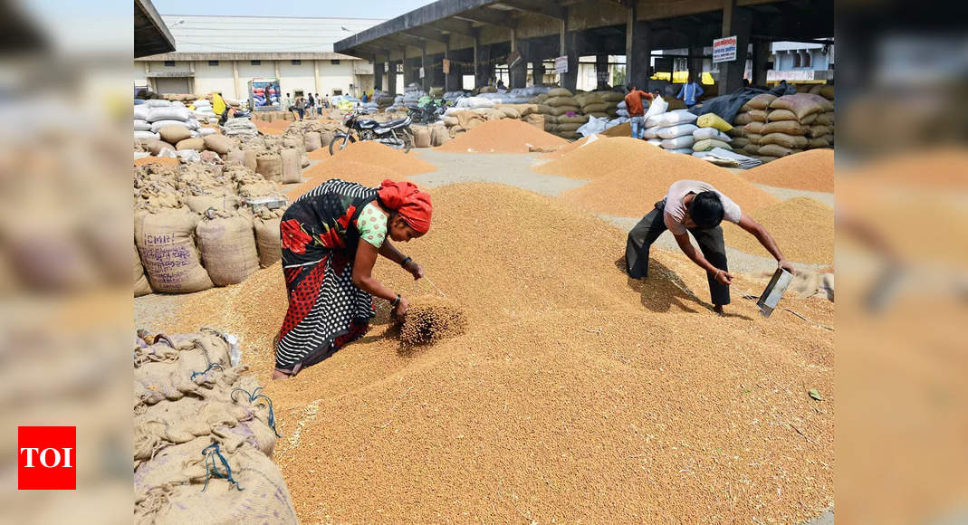 Govt’s wheat procurement down 18% at 41 lakh tonne; arrivals in mandis improving – Times of India