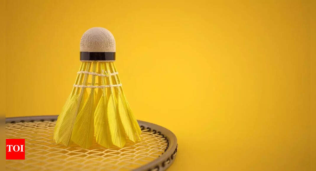 Feather shuttlecock sets for professionals & regular players Times of