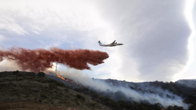 France: Firefighters battle France's 1st major forest blaze of 2023 ...