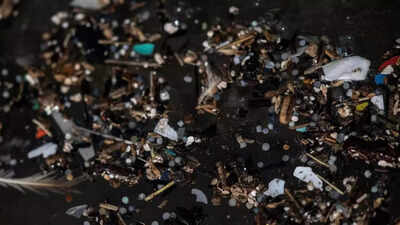 Coastal Shellfish 'Colonise' Ocean Plastic: Coastal shellfish 'colonise ...