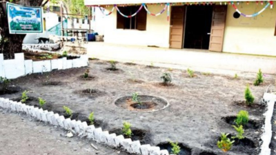 Coimbatore college students turn dumpsite into 'Garden of Hope'