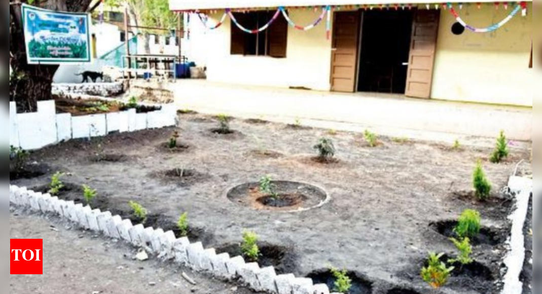Coimbatore college students turn dumpsite into 'Garden of Hope