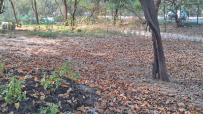 Upkeep poor, green belts, open gyms & drains in bad shape, Municipal Corporation of Gurgaon chief told