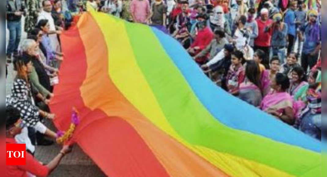 Same Sex Marriage Many Feel Legalising Same Sex Marriages Will Ease Anxieties Delhi News 3704