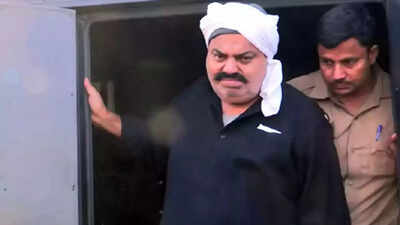 With Atiq Ahmed and brother Ashraf gone, what happens to don's empire?