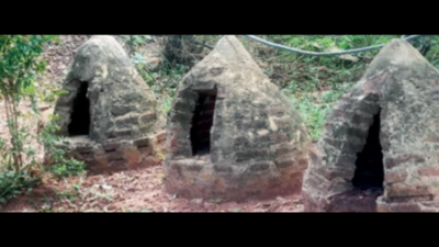 Nagpur: After trees, app to make Ugandan heritage talk