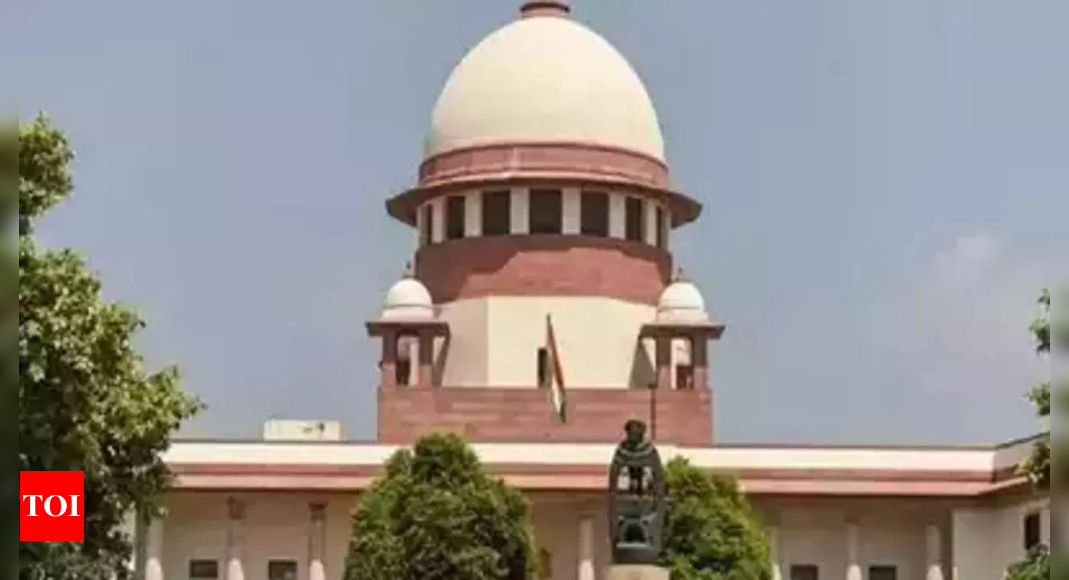 Will not go into personal laws, says SC while hearing pleas for legal validation for same-sex marriages | India News – Times of India