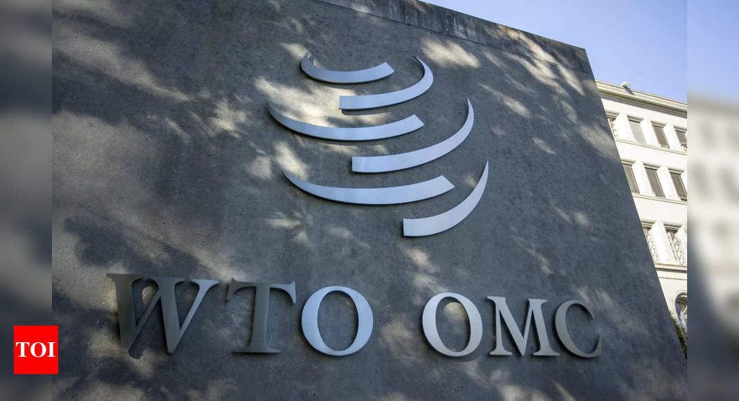 India plans to appeal against WTO panel ruling on IT tariffs – Times of India
