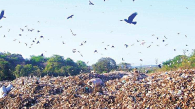 Will ensure Sonsoddo poses no health hazard: Margao Municipal Council
