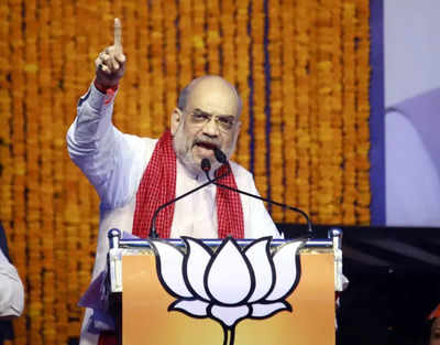 Shah: Home minister Amit Shah stresses on enhanced use of AI to analyse ...