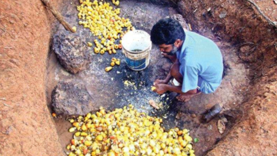 Goa: To push feni sales, stakeholders want country liquor tag removed