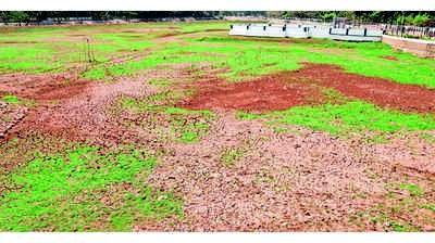 No April rain, waterbodies dry up along coastal areas of Dakshina Kannada, Udupi and Uttara Kannada