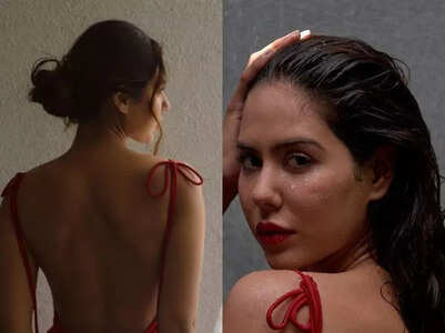 Sonam Bajwa wore the most risqué backless dress