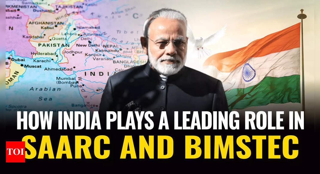 India S Regional Diplomacy Navigating Saarc And Bimstec India News Times Of India