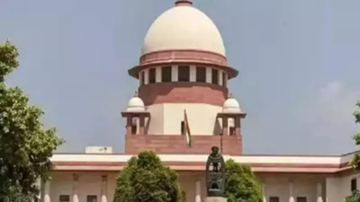 No data from government to indicate it is 'urban-elitist concept': SC on same-sex marriages