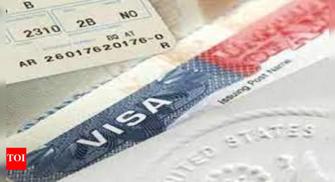US VISA PROCESSING TIMES IN INDIA visual data 3