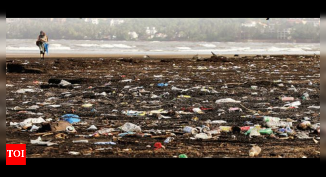Lifeguards to be Goa's marine range protectors | Goa News - Times of India