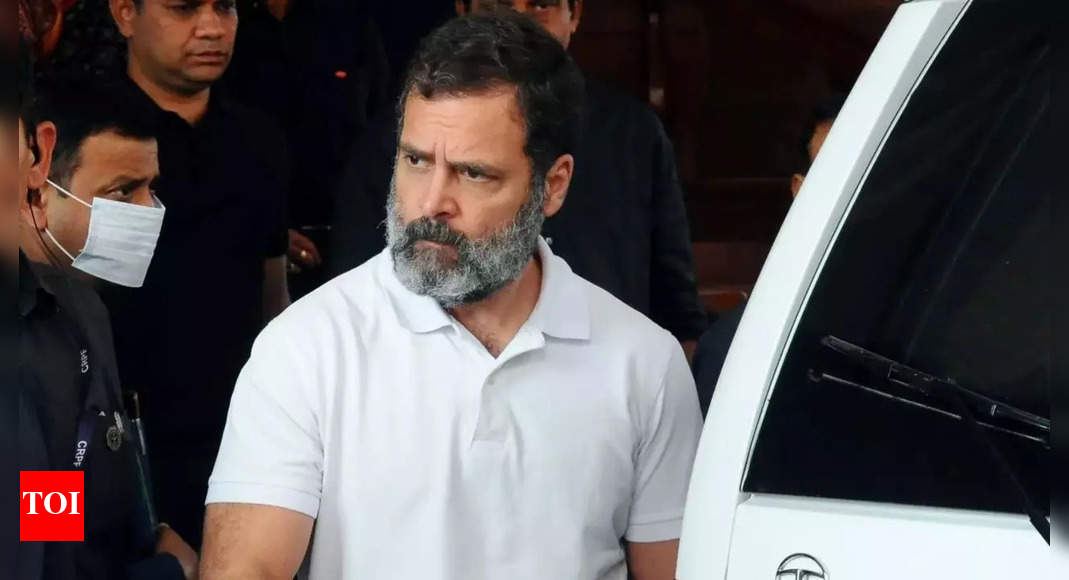 Rahul Gandhi News Live Surat Court Dismisses Plea For Stay On Conviction In Defamation Case 4241